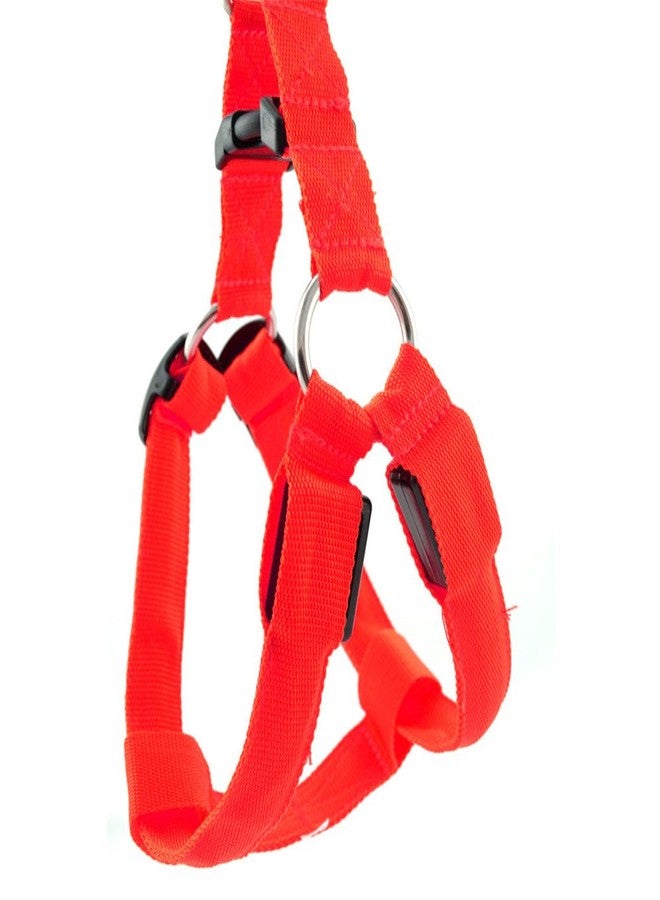 Futaba Dog LED Harness Flashing Light 3 Mode - Red - Extra Large - Image 2